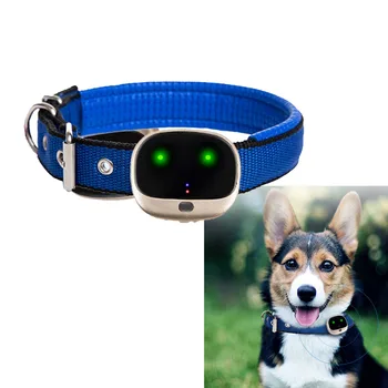 передовой технологический умный GPS-ошейник 4g для собак, водонепроницаемое GPS-устройство слежения для собак