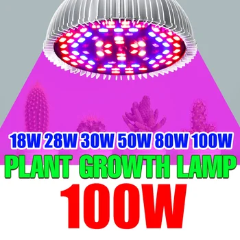 Светодиодная Фитолампа для Выращивания растений с Полным Спектром света 100 Вт 80 Вт 50 Вт Семена Фито Лампа Домашняя Теплица Палатка Гидропоника Коробка для Выращивания