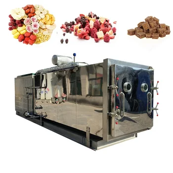 Машина для сублимационной сушки мяса/фруктов/овощей GS drone pupa в порошке 50 кг на партию