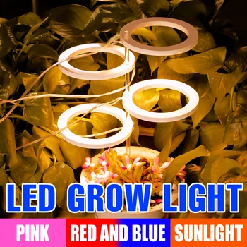 USB Завод Освещает Теплицу Светодиодной Лампой для Выращивания Полного спектра Фитолампы для Растений Hidroponia Фито Лампа Для Выращивания Семян Цветов В Помещении Палатка